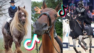 The Best HORSE  TikTok Compilation 50 [upl. by Nadnarb494]