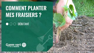 TUTO Comment planter mes fraisiers  Jardinerie Gamm vert [upl. by Ayila]