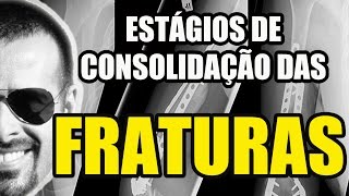 Vídeo Aula 127  Osteologia  Fraturas Estágios de Consolidação  Sistema ÓsseoEsquelético [upl. by Faydra949]