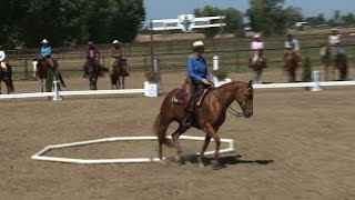 Inside Cowboy Dressage [upl. by Hasheem]