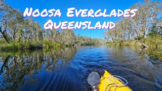 Kayaking the Noosa Everglades [upl. by Gehman857]