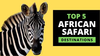 AFRICAN SAFARI DESTINATIONS  Top 5 Most Popular with prices [upl. by Wilmar125]