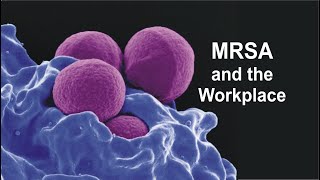 MRSA and the Workplace [upl. by Airot]