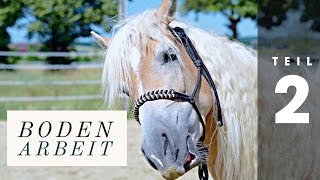 Bodenarbeit Führtraining  😍🐴 Pferd Zirkeln  Teil 2 [upl. by Relyt515]