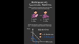 PREFERENCIAS SUSTITUTIVOS PERFECTOS  Microeconomía  Microeconomía Interactiva [upl. by Duarte]