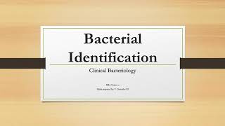 Bacterial Identification using Microscopy Staining and Motility [upl. by Nnaira]