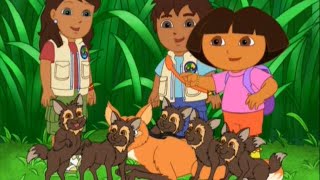 Go Diego Go  1x18  Diegos Wolf Pup Rescue Best Moment Plus [upl. by Sivrep]