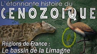 La France préhistorique Le bassin de la Limagne  Simplex Paléo  Paléontologie [upl. by Jessika94]