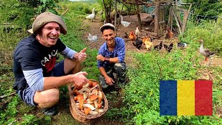 LIVING OFFGRID in Romanian countryside 🇷🇴 [upl. by Asirrak550]