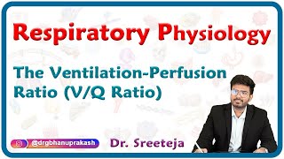 The ventilationperfusion ratio VQ ratio  Respiratory Physiology USMLE Step 1 [upl. by Patrizia]