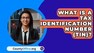 What Is a Tax Identification Number TIN  CountyOfficeorg [upl. by Assiralc]