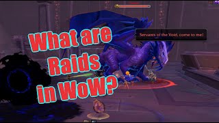 Beginners guide to Raids in WoW [upl. by Utica178]