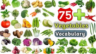 Vegetables Vocabulary ll 75 Vegetables Name in English ll List of Vegetables [upl. by Hseyaj397]