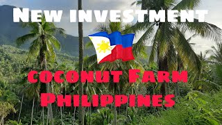 New Investment Coconut Farm Philippines [upl. by Olpe617]