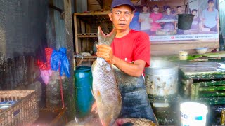 AMAZING SPECIALIST FISH BONELESS CUTTING SKILLS IN FISH MARKET ACEHNESE 2024🔪🔥 [upl. by Sivel]