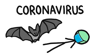 Why Do Bats Carry So Many Diseases like Coronavirus [upl. by Merchant]