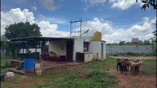 Farm house for sale in Nelamangala  Bangalore [upl. by Enailuj209]