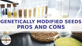 Genetically Modified Seeds Pros and Cons ELearning Video [upl. by Sugar]