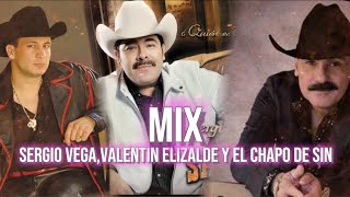 VALENTIN ELIZALDE SERGIO VEGA Y EL CHAPO DE SINALOA PUROS EXITOS MUSICALES Los mejores existos [upl. by Llerrod535]