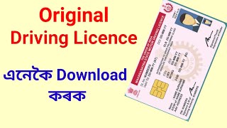 Driving Licence Download  How to download driving licence online [upl. by Lindon]