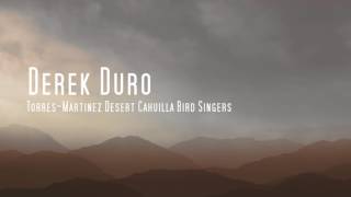 Derek Duro amp TorresMartinez Desert Cahuilla Bird Song Compilation [upl. by Annmaria305]