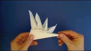 Napkin Fold Bird of Paradise [upl. by Dessma]