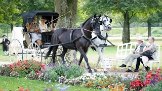 Historische Jagd und Kutschengala 2016 Schloßpark Schleißheim [upl. by Tap]