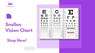 Snellen Chart Explained Vision Testing for the Visually Impaired  Understanding Eye Health [upl. by Vitia]