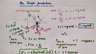 The simple pendulum  Chapter 14 Oscillations  Class 11 Physics [upl. by Sucramd199]