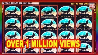 6 VERY RARE WINS  MUST WATCH  SLOT LOVER [upl. by Trisa]