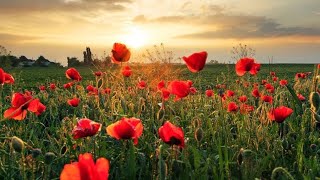 Remembrance Sunday at the Old North Church [upl. by Thisbe]