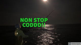 COD MANIA  Fishing near Filey  rigs and bait [upl. by Pickar]