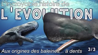 Aux origines des baleines à dents  33  Paléontologie  Simplex Paléo  Feat Olivier Lambert [upl. by Sylado]