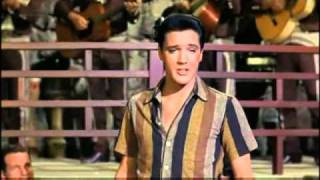 Elvis Presley  Marguerita 1963 [upl. by Hertzfeld]