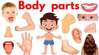 Parts of Body  Body Parts Name  Name of Body Parts in English with Pictures  bodyparts Educare [upl. by Coral]