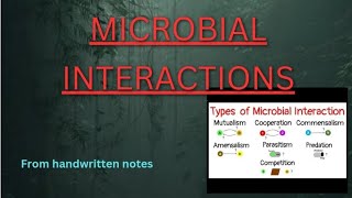 MICROBIALINTERACTION microbial microbialgenetics microorganism [upl. by Ahsima]