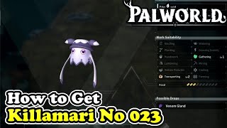 Palworld How to Get Killamari Palworld No 023 [upl. by Ericka]