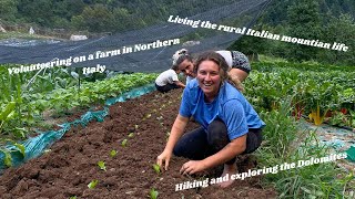 LIVING AND WORKING ON AN ORGANIC FARM IN ITALY WWOOF [upl. by Idnim250]