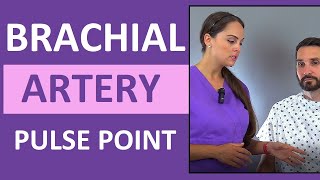 Brachial Artery Pulse Point Location Nursing Skill [upl. by Korff338]