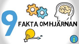 9 FAKTA OM HJÄRNAN [upl. by Crysta]