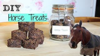 DIY Horse Treats [upl. by Rehtae]