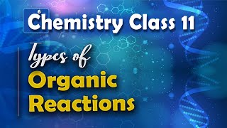 Types of Organic Reactions  Basic Principle and Techniques in Organic Chemistry Chemistry Class 11 [upl. by Key]