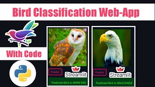 Bird Species Identification using Deep Learning Streamlit  With Code  python keras [upl. by Ninette]