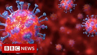 Coronavirus explained in 60 seconds  BBC News [upl. by Bennir]