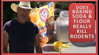 DOES BAKING SODA amp FLOUR REALLY KILL RODENTS IT DOES WORK [upl. by Abigail]