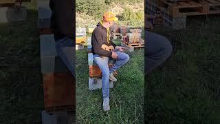 Les joies de lapiculture apiculture beekeeper bee farming humour [upl. by Gitlow126]