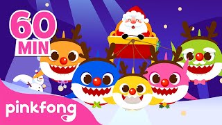 Christmas Sharks and More  🎄Christmas Songs Compilation  Pinkfong Baby Shark [upl. by Loeb881]