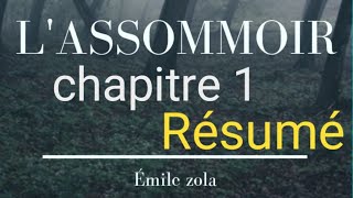 Résumé de chapitre 1  LASSOMMOIR DÉMILE ZOLA [upl. by Embry153]