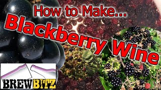 Making Blackberry Wine1 gal Home Brew Ohio Kit [upl. by Isle990]