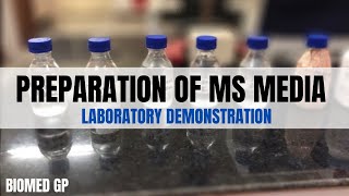 Preparation of MS Media for plant tissue culture Demonstration video [upl. by Katusha]